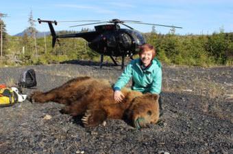 Jessica Rich poses with unconscious young male bear. (Photo courtesy of Jerry Belant/Mississippi State University)