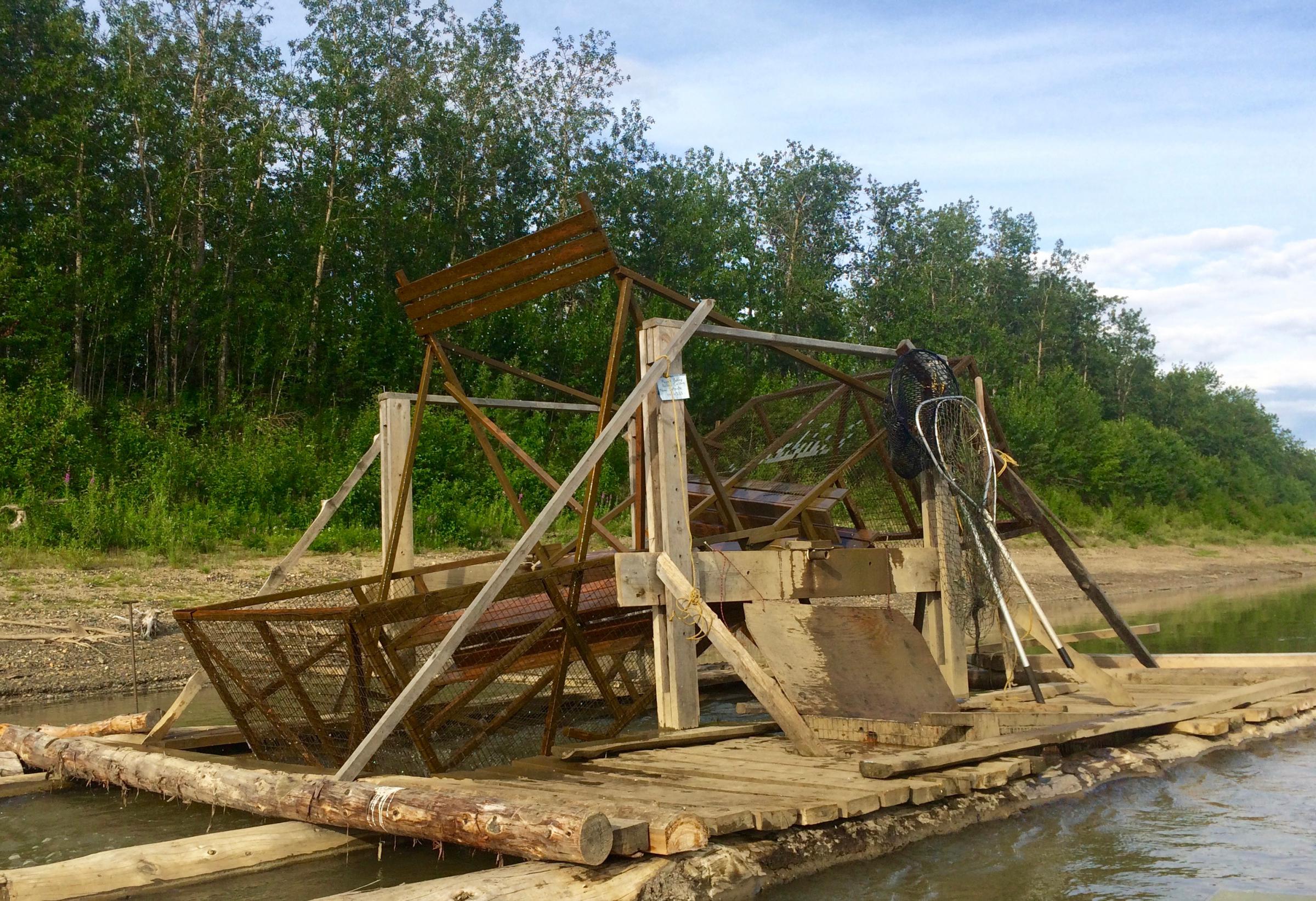 Barb Carlson and Maggie Bobby’s fish wheel runs four miles downriver of Sleetmute. (Photo by Anna Rose MacArthur/KYUK)