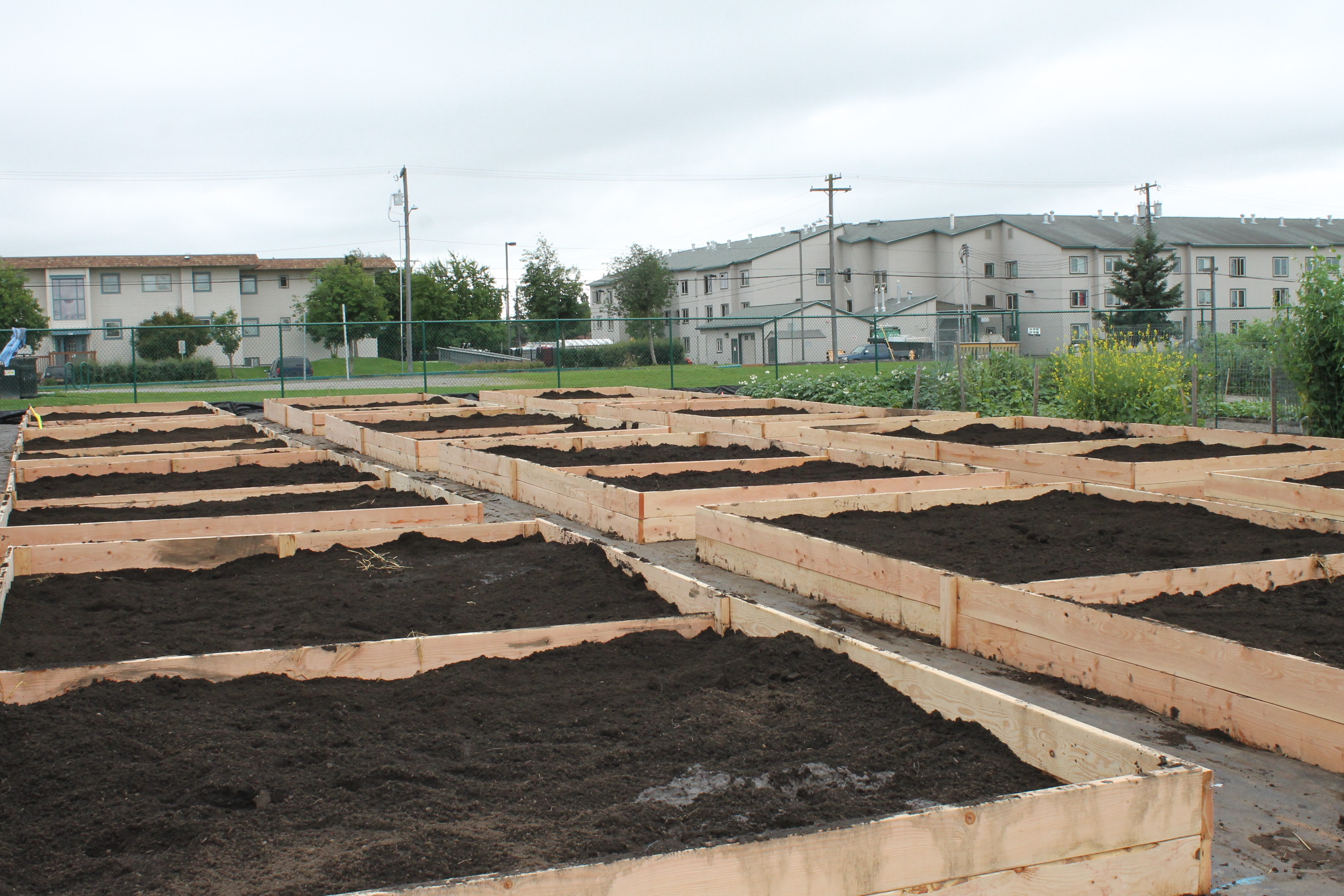 Youth Employment in Parks crews built 12 new raised beds for Fairview Park Community Garden. (Photo by Henry Leasia/Alaska Public Media)