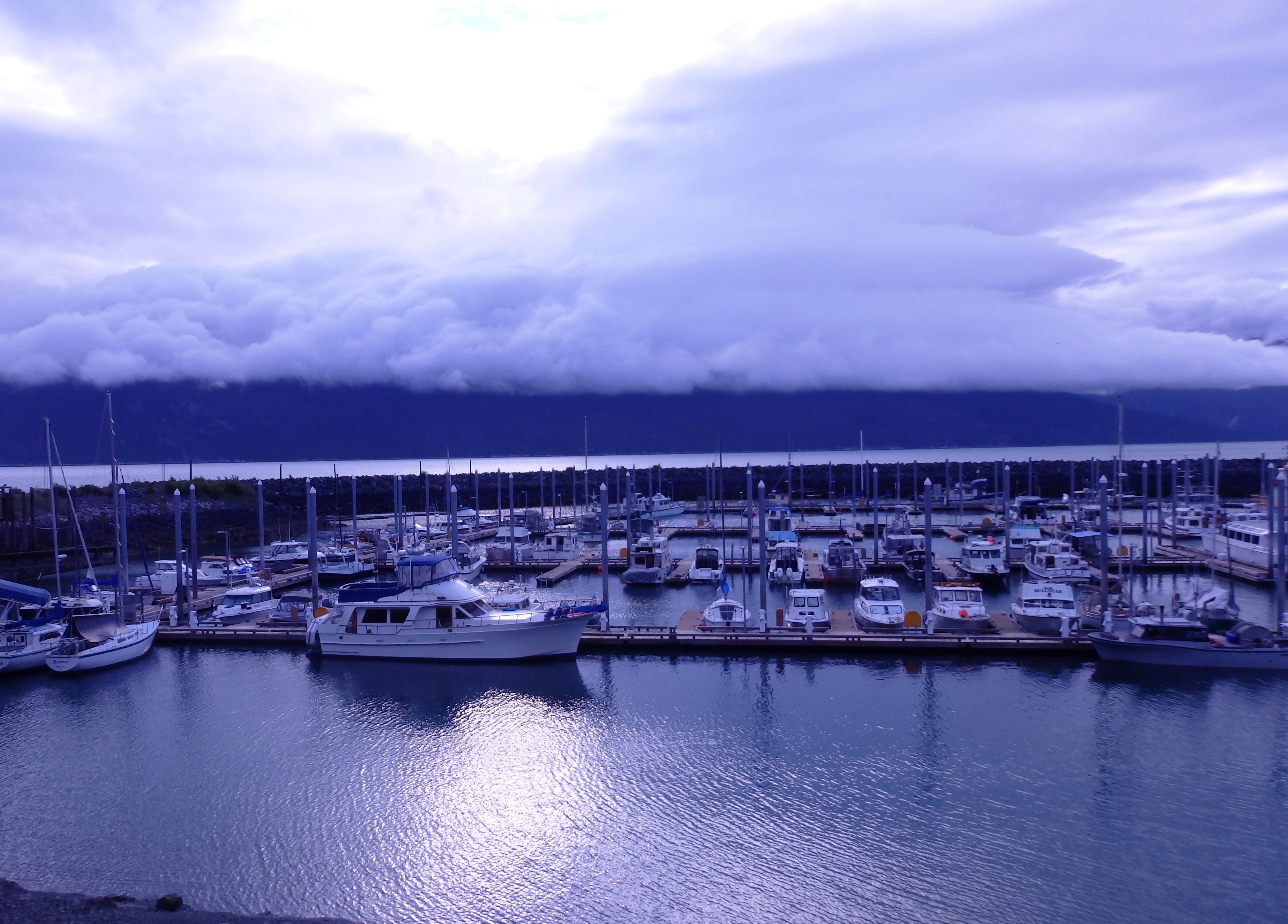 Commercial fishermen throughout the state, such as those in The Haines Portage Cove Harbor pictured here, received a letter warning of the dangers of opioids this summer. (Photo by Emily Files/KHNS)