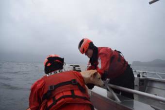 Crewmembers from the Coast Guard Cutter Chandeleur rescue a dog from a 34-foot vessel that was taking on water near Montague Island. (Photo courtesy Coast Guard)