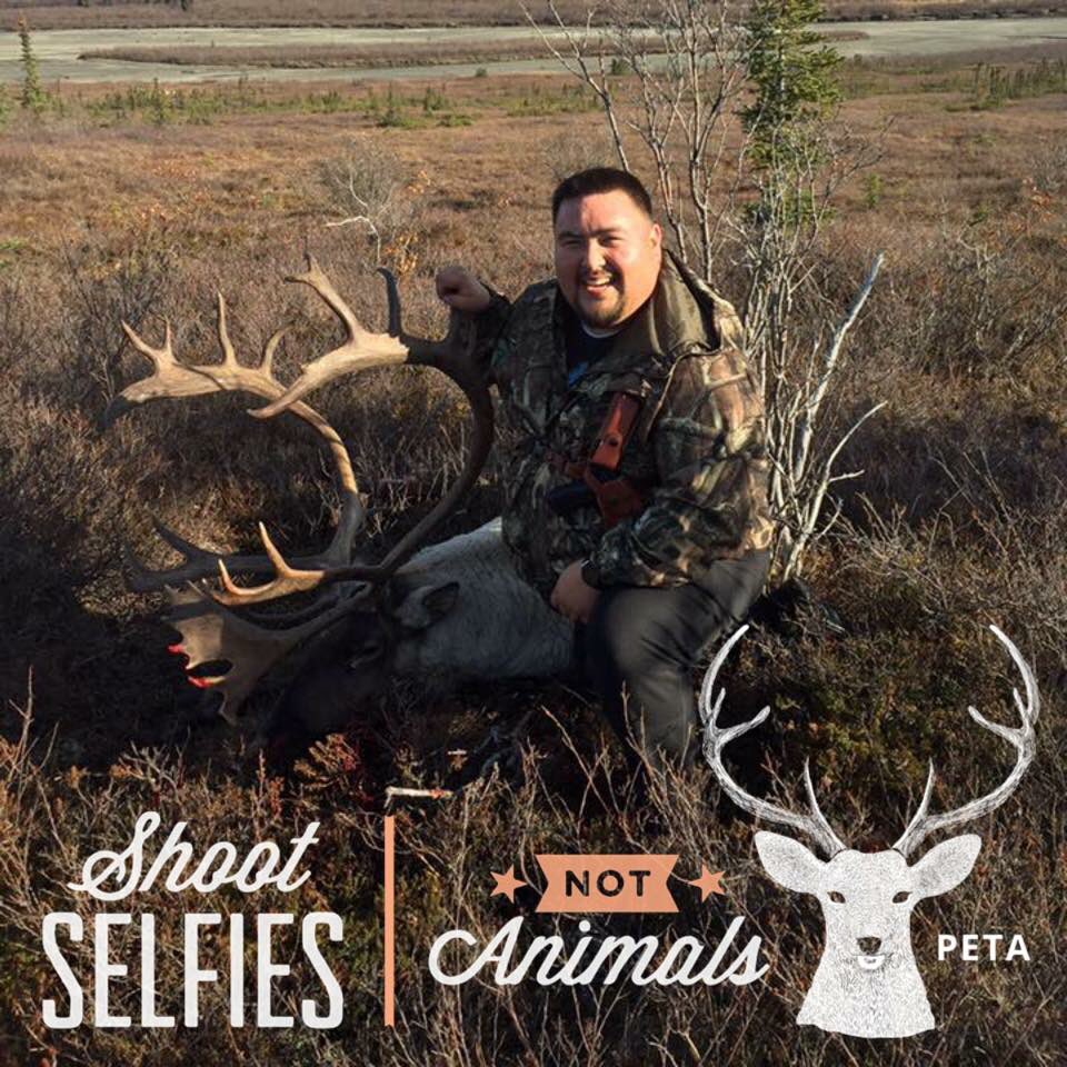 David Nicolai posing with a caribou he took on a successful hunt in 2016, in PETA’s social media frame. (Photo courtesy of David Nicolai)