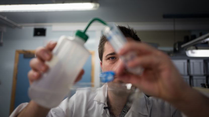 Dr. Matthew Cole, a researcher at the University of Exeter, England, works on an experiment about microplastics in zooplankton in the school's lab.