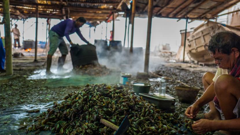 Workers in Muara Angke, Indonesia, steam and shuck mussels pulled from the waters around Jakarta. Scientists have studied how micro plastics absorb toxins they are in proximity to and how they are then taken up into the food chain in mussels and other shellfish.