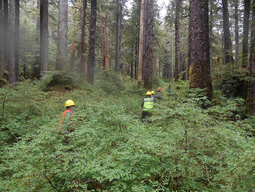 A U.S. Forest Service timber crew on Kosciusko Island (Photo courtesy U.S. Forest Service)