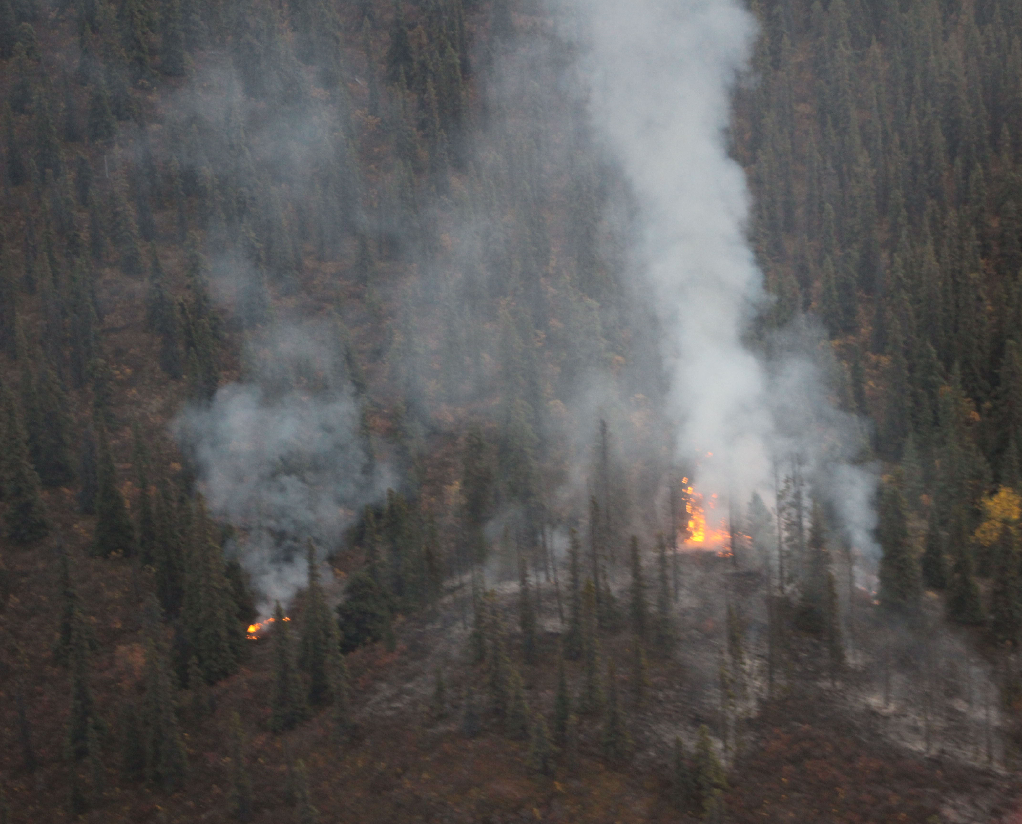 Red Hill Fire continues to burn Saturday evening. The fire, estimated at 1 acre, is approximately 100 miles northeast of Glennallen and 1.8 miles northeast of Chisana. (Photo courtesy Luke Wassick/National Park Service)
