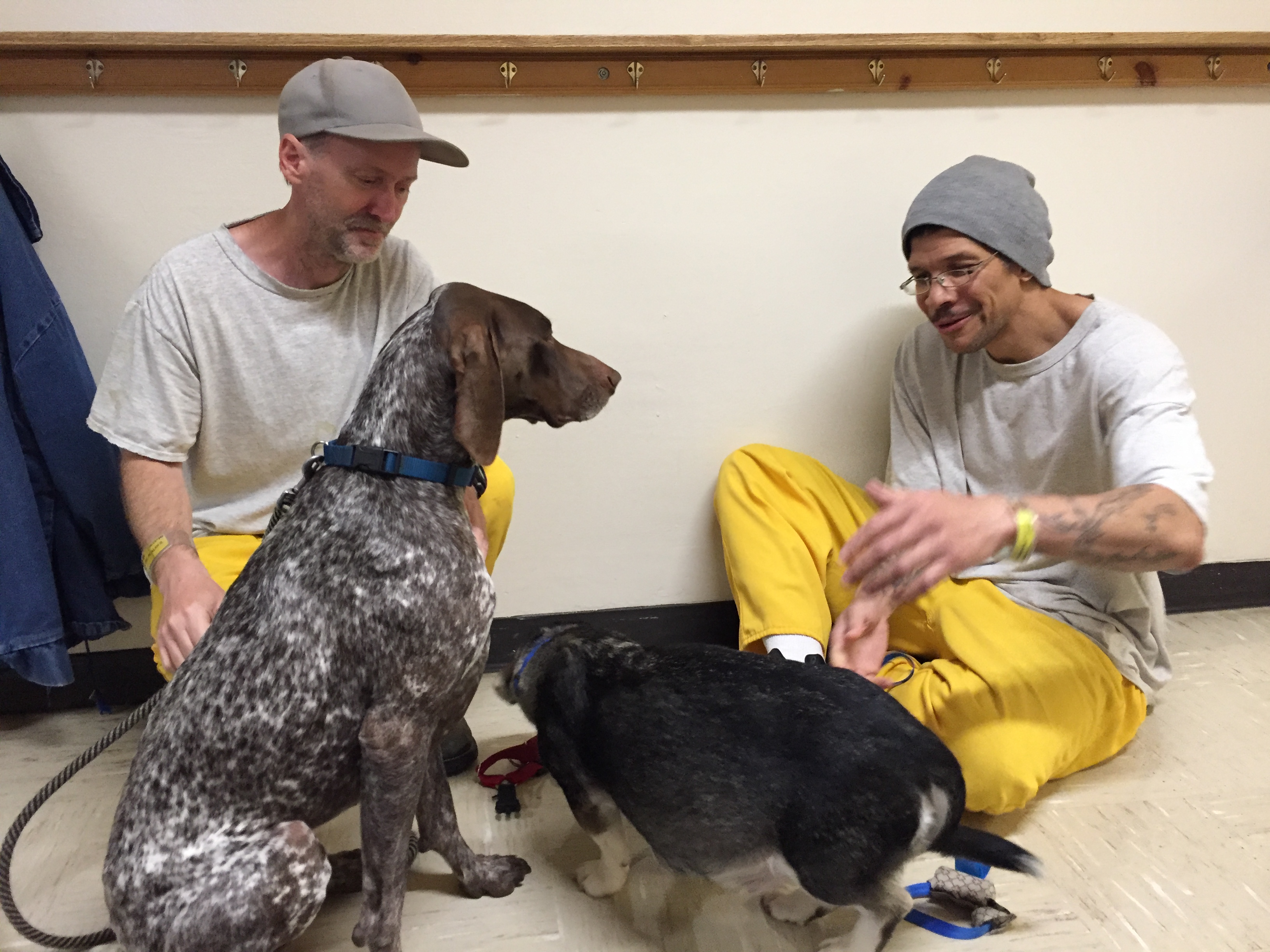 Alan Newby, left, and Jonathan Norton play with their new dogs at Wildwood Correctional Center, Kenai. (Anne Hillman/Alaska Public Media)