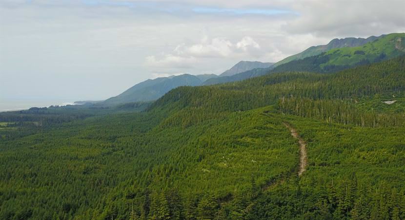 The Alaska Mental Health Trust Land Office is developing its property at Icy Cape, which runs from the beach to the mountains. Logging will begin next year and and a mining projects is in the exploration phase. (Photo courtesy Alaska Mental Health Trust Land Office)