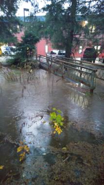 A flood warning has been issued for Jordan Creek in Juneau. (Photo courtesy National Weather Service Juneau)