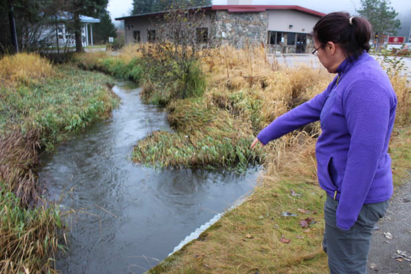 Nat Nipataruedi points out a flooded culvert along the Jordan Creek near her home on Oct. 29, 2017. (Photo by Adelyn Baxter/KTOO)