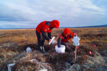 Members of the Korean Polar Research Institute research team take samples at their site near Council, Alaska. (Photo courtesy Min Jung Kwon)