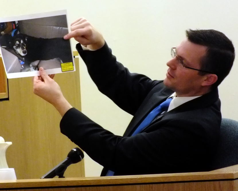 Juneau Police Sgt. Shawn Phelps shows a picture of Christopher Strawn’s dog to jurors during the homicide trial on Oct. 16, 2017. He’s pointing to a location where the dog picked up green paint that was consistent with one of the newly painted rooms at trailer C-16 in Kodzoff Acres Trailer Park where Brandon Cook was shot and killed.