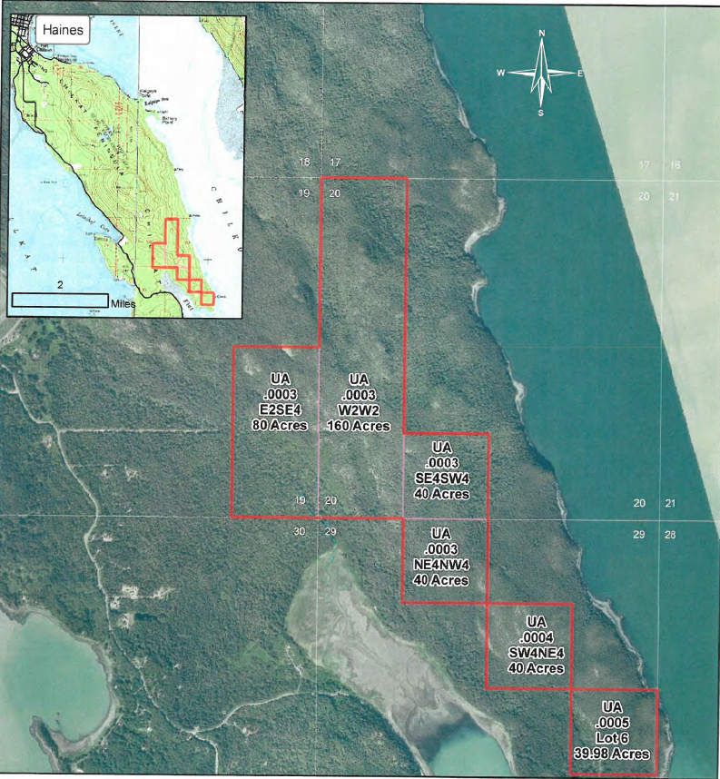 The University of Alaska’s timber sale area on the Chilkat Peninsula. (Photo courtesy University of Alaska)