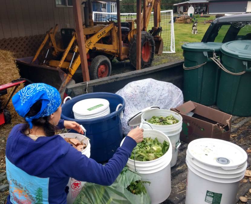 Lisa Daugherty, owner of Juneau Composts!, unloads residential food scraps on Aug. 25.