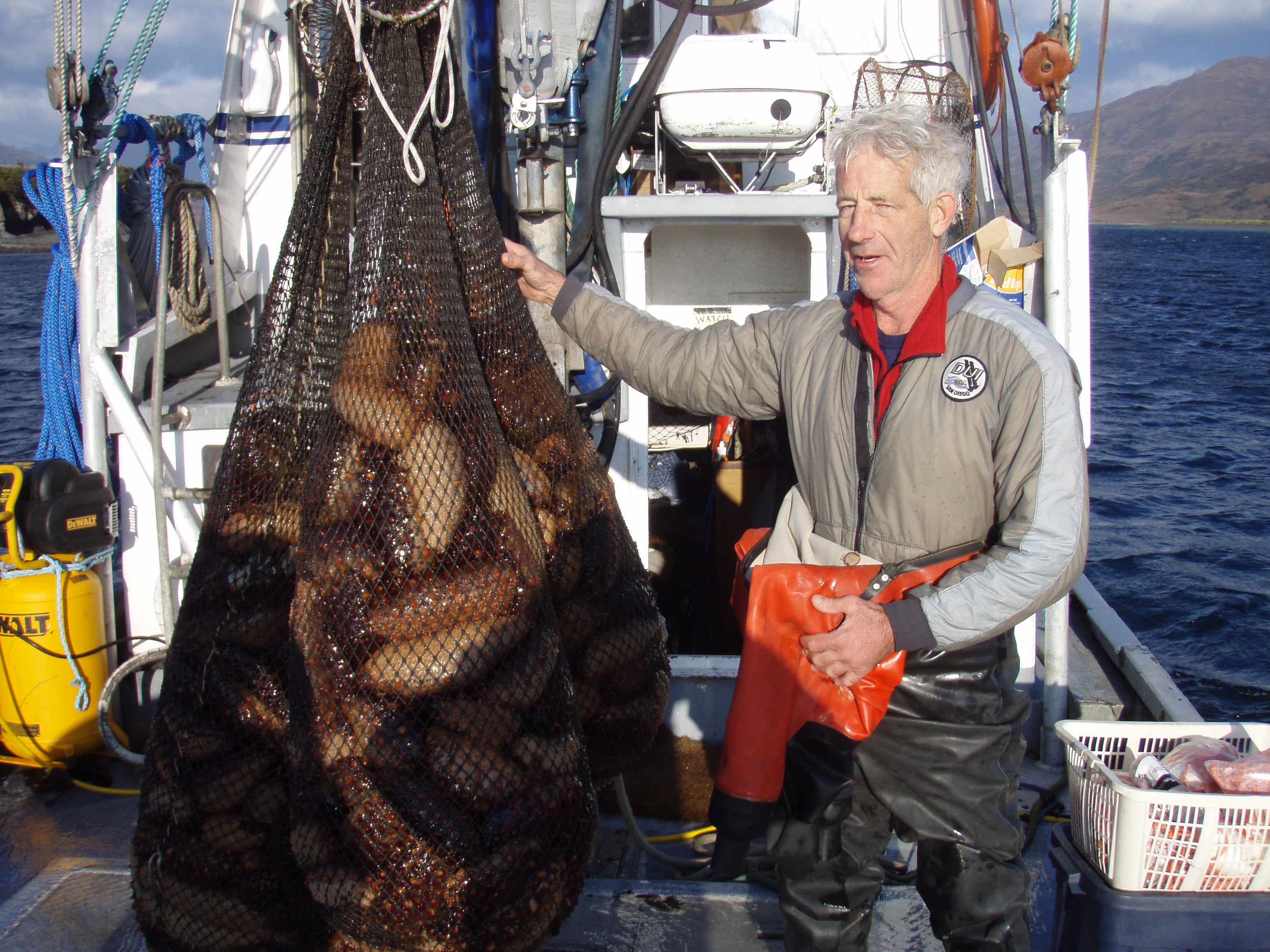 Mark Blakeslee and his haul of sea cucumbers. (Photo courtesy Mark Blakeslee)