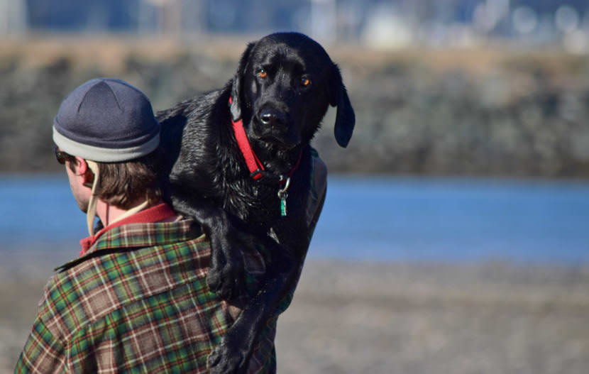 Daniel Carson carries his dog Cody across Sandy Beach on a sunny Sunday, March 1, 2015. Cody's paws are sensitive, Carson explained, and he has problems with the beach sand.