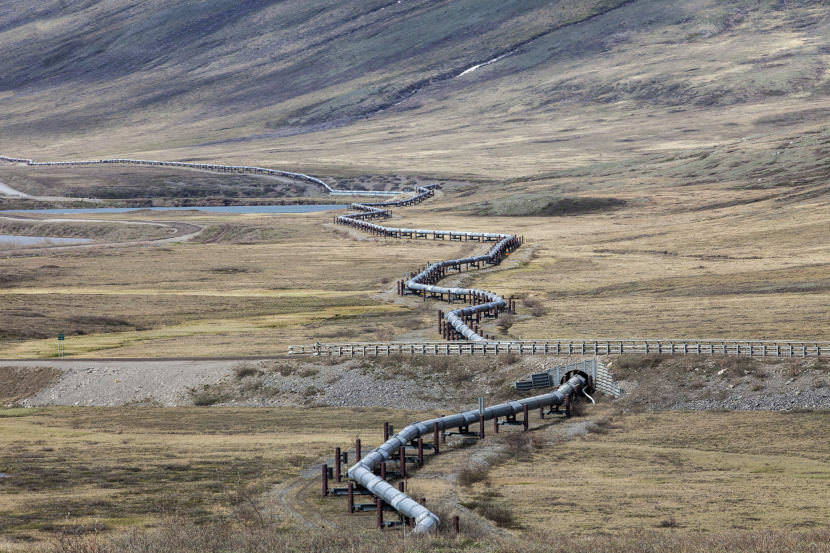 An above-ground section of the Trans-Alaska Pipeline System near the Toolik Lake Research Station in the North Slope Borough. (Photo by Rashah McChesney/Alaska's Energy Desk)