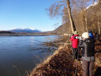Photographers take pictures of eagles feeding on salmon in the Chilkat River. (Photo by Emily Files/KHNS)
