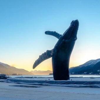 The whale sculpture near Juneau Seawalk basks in 6 more seconds of daylight Friday, Dec. 22, 2017, the day after solstice in Juneau. (Photo by David Purdy/KTOO)