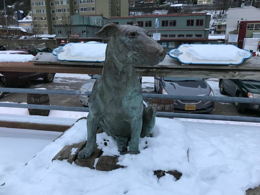 The statue of Patsy Ann, once Juneau's official greeter, watches downtown Juneau's waterfront in December 2017. The Friends of Patsy Ann commissioned the famous bull terrier's statue, which was presented in July 1992. (Photo by Julia Caulfield/KTOO)