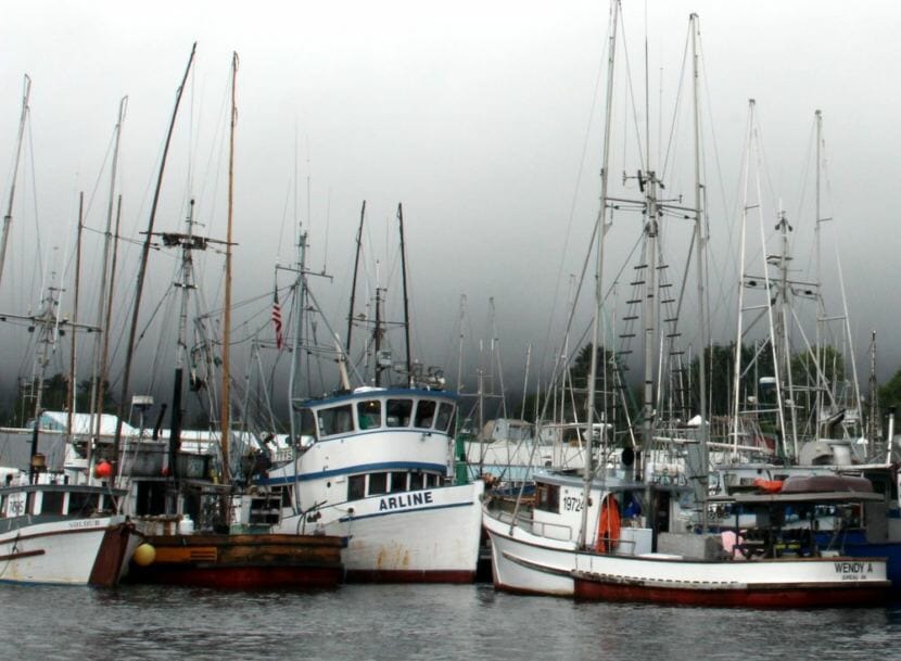 Trollers in Sitka’s Eliason Harbor. Extended king closures worry many. “There’s so much down time that a guy’s got to get another job,” troller Caven Pfeiffer told the Sitka Advisory Committee. (KCAW file photo)