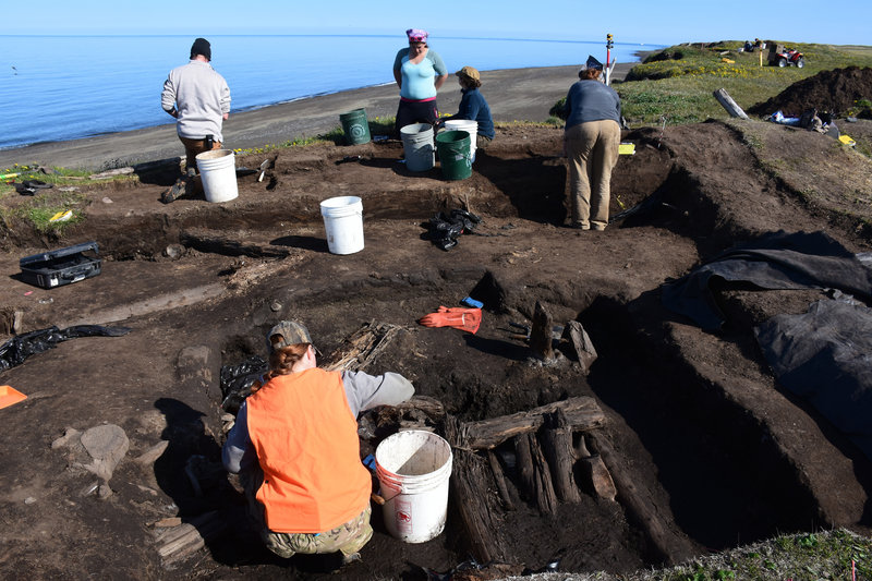 A team of volunteers is rushing to excavate an ancient hunting cabin near Utqiagvik, Alaska, the town formerly known as Barrow. (Photo courtesy Zachary Peterson)