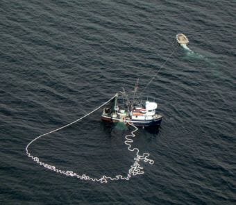 A purse seiner fishes for salmon in Southeast Alaska in 2010. (File photo by KFSK)