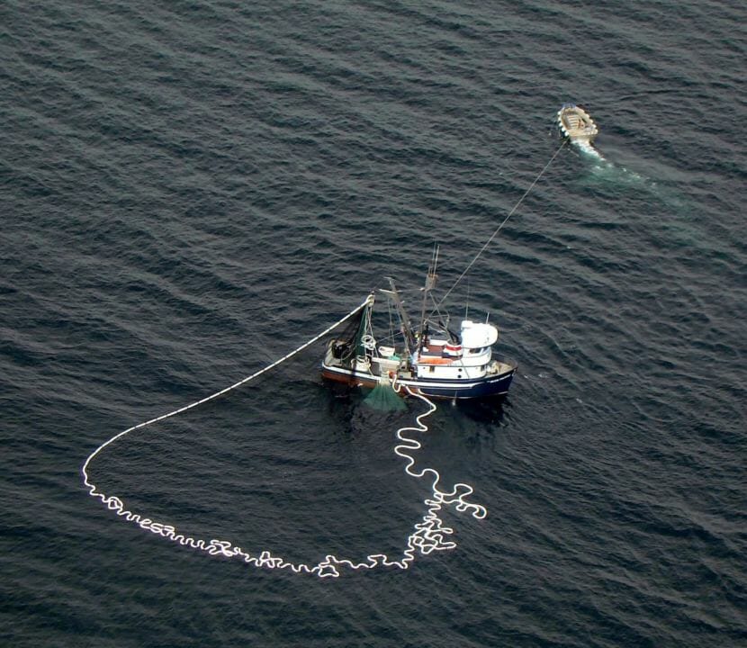 A purse seiner fishes for salmon in Southeast Alaska in 2010. (Photo by KFSK)