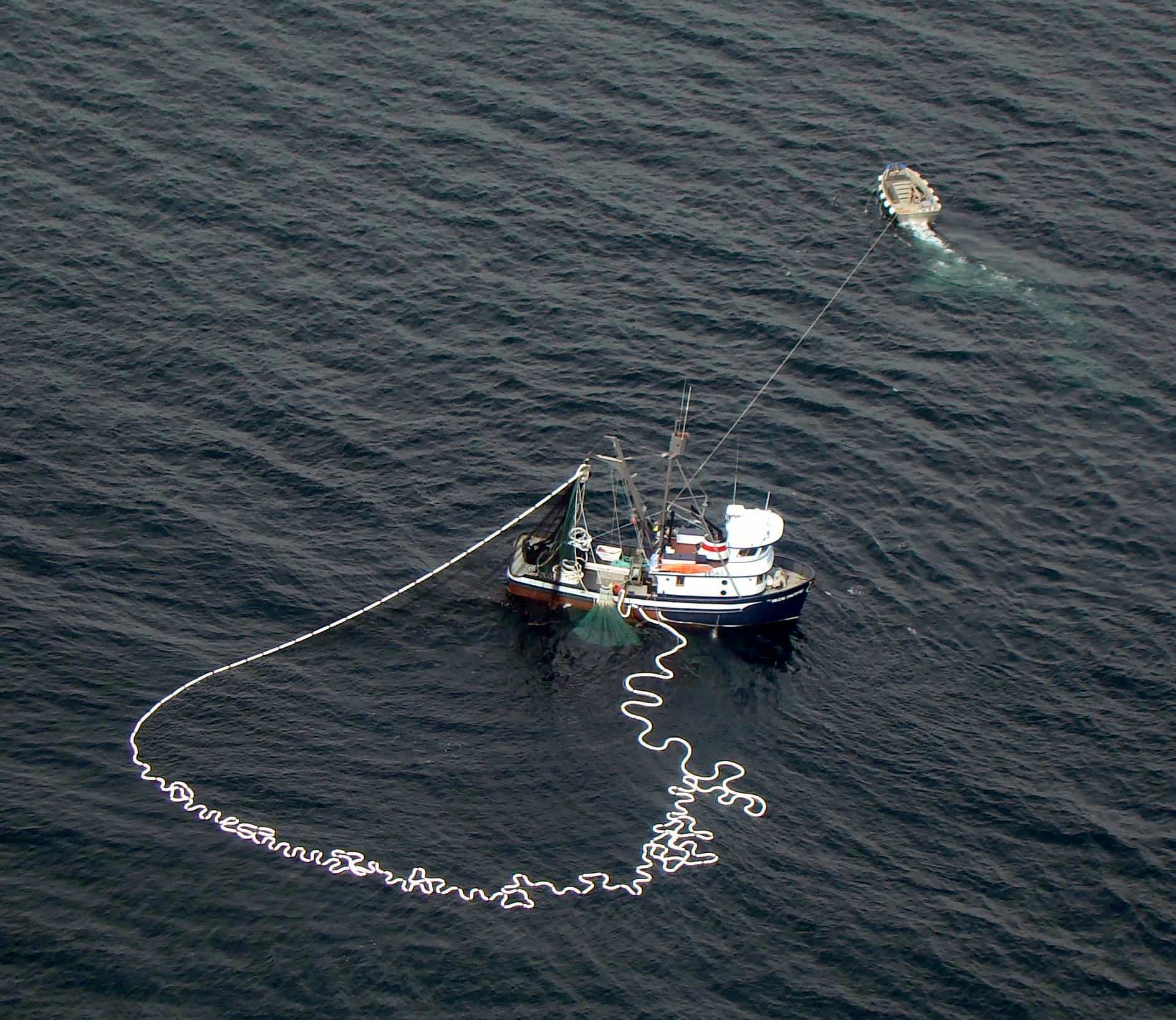 Fishing For Pacific Herring Clupea Pallasii In Sitka Sound Of Alaska Purse  Seine Fishing Boat With The Net Full Up Next To A Tender Boat To Transfer  Fish Stock Photo - Download