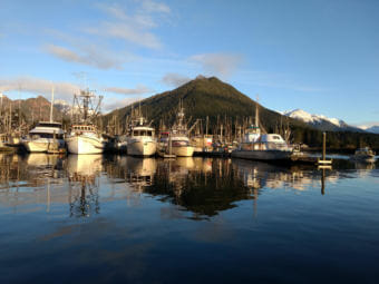 Sitka fishing vessels in harbor on Jan. 18, 2018. (Photo by Jacob Resneck/KTOO)