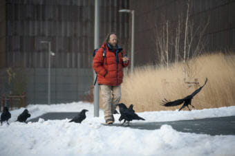 Ravens flock around a pedestrian Wednesday, Feb. 21, 2018, along the path outside of the Father Andrew P. Kashevaroff Library, Archives and Museum Building. (Photo by Tripp J Crouse/KTOO)