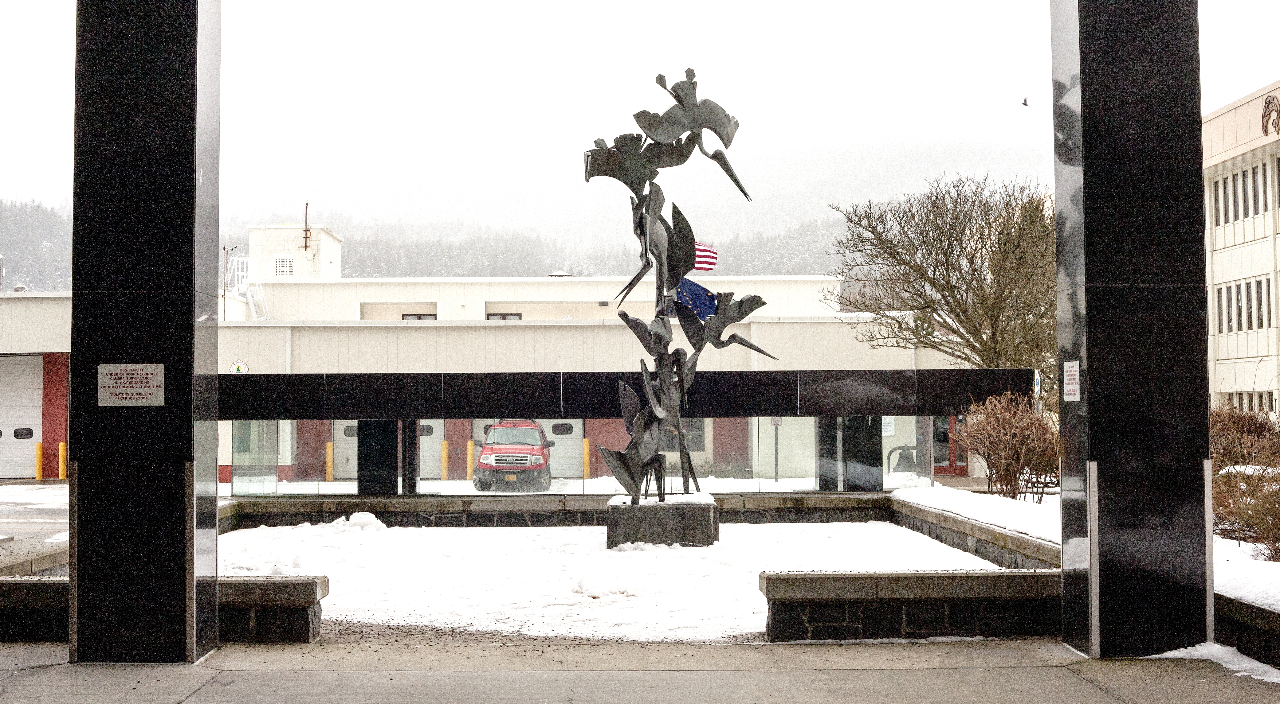 Bronze pelicans dive bomb the concrete behind a bus stop shelter near the Federal Building in Juneau on Thursday, Feb. 22, 2018. (Photo by Tripp J Crouse/KTOO)