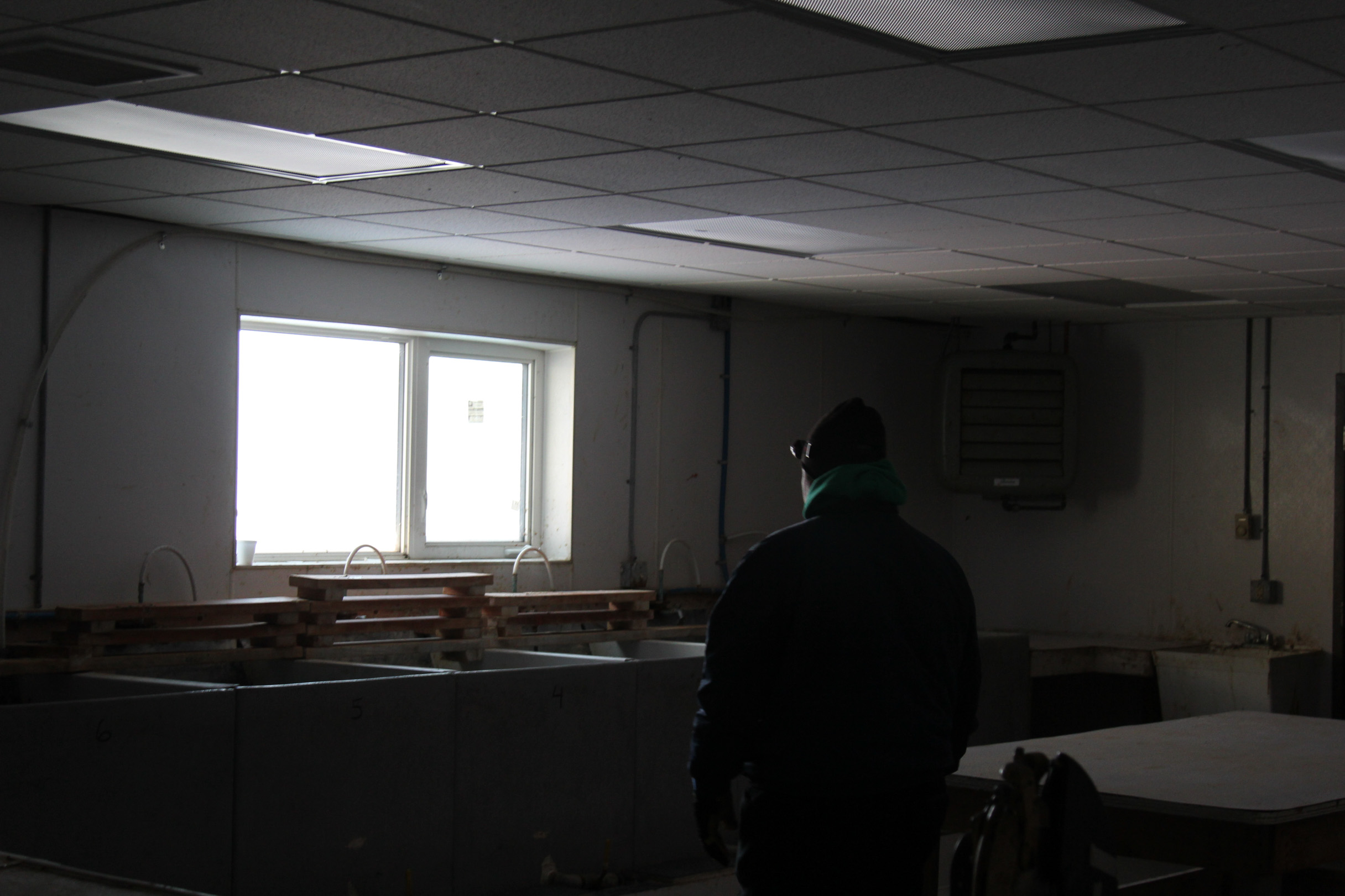 Dennis Sinook walks through the Shishmaref Tannery, which was cleared out for the season after re-opening to handle 850 hides this year. (Photo by Zachariah Hughes/Alaska Public Media)