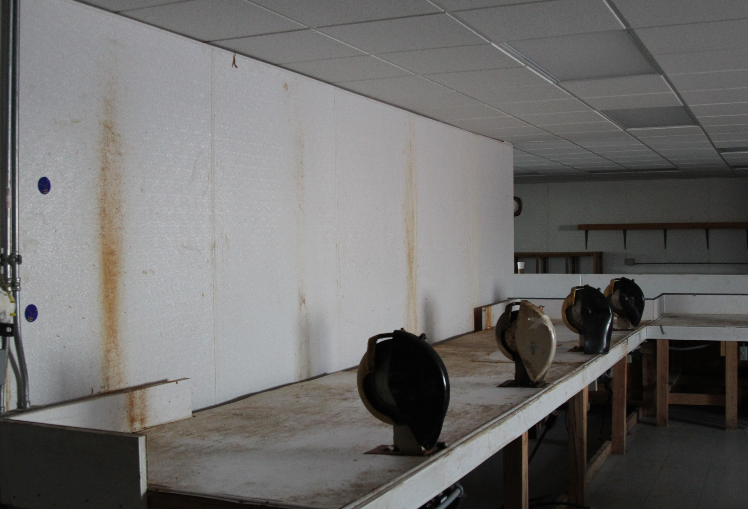 Fleshing machines had kicked off fat onto the walls. Dennis Sinook said they’d gotten to most of it, but run out of cleaning supplies before they could fully remove all the stains as the Shishmaref tannery was closed up for the season early in January. (Photo by Zachariah Hughes/Alaska Public Media)