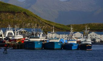 Fishing trawlers lined up in Dutch Harbor, on Sep. 24, 2013, in Unalaska, Alaska.