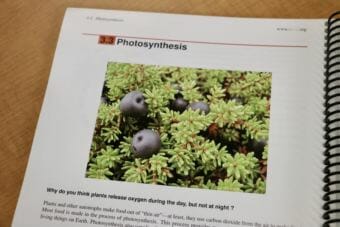 In a chapter of the CK-12 Foundation's biology textbook, an image of berries on the Yukon-Kuskokwim Tundra helps illustrate principals of photosynthesis. (Photo by Christine Trudeau/KYUK)