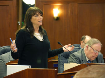 Rep. Charisse Millett, R-Anchorage, debates an amendment to the state operating budget from the House floor on March 14, 2017.