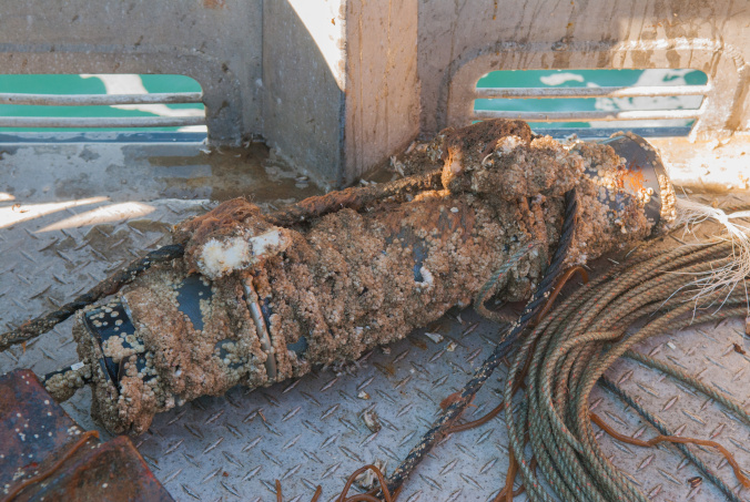 A recorder recovered after two years on the bottom of the Bering Sea. (Photo courtesy Ricardo Antunes)