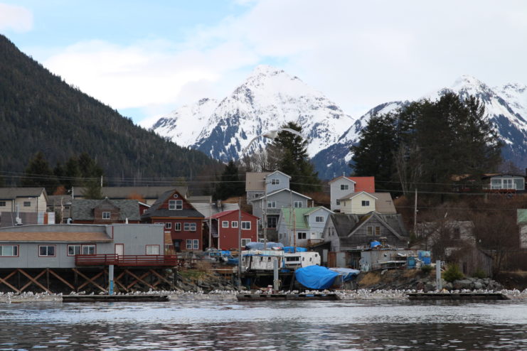 The Sitka sac roe herring fishery takes place every spring in Sitka Sound. (Photo by Emily Russell/KCAW)