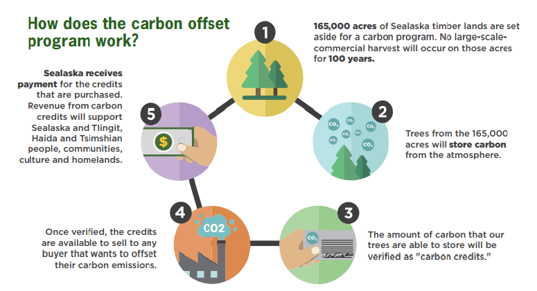 Did it work. Verified Carbon Standard. Carbon emissions Standard. Carbon программа. Carbon credits Conspiracy.