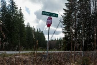 Donkey Creek Road, near where Jimmy Smith-Kramer was killed last year, outside Taholah, Washington (Photo by Andrew Burton for ProPublica)