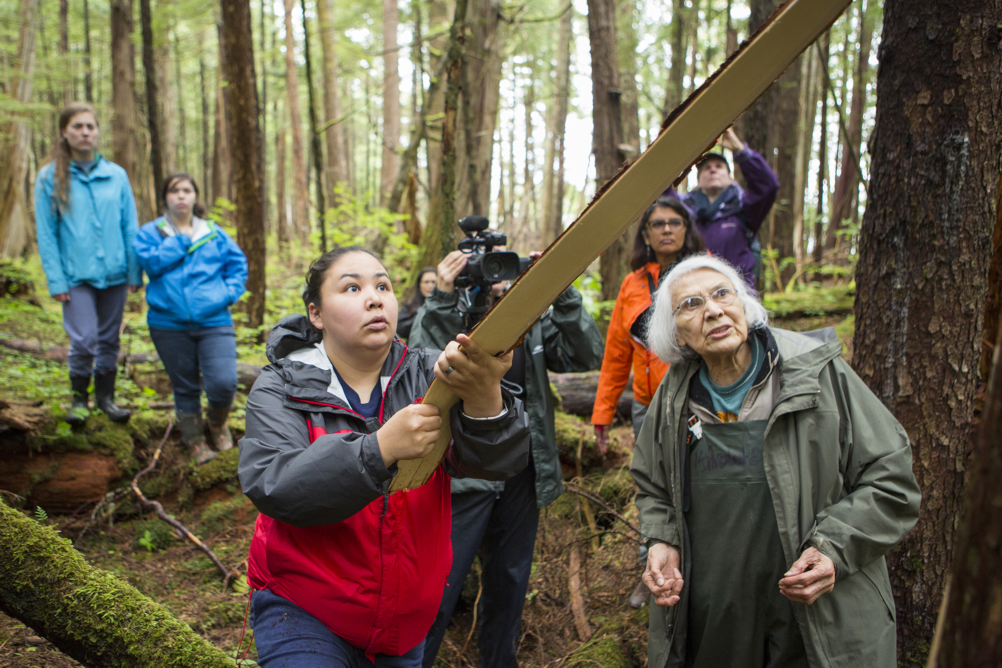 Delores Churchill instructs student Jamie Thompson on how to pull bark from a red cedar tree in Metlakatla. (Photo courtesy Wayde Carroll)