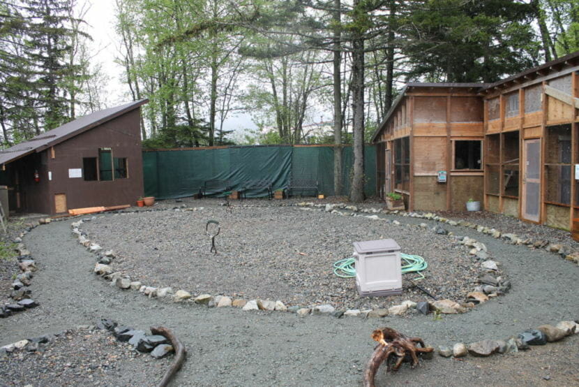 The new walkway allows the public to observe the American Bald Eagle Foundation aviaries outside of guided tours.