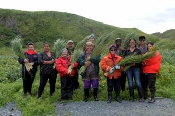 The descendants spent time gathering grass on Attu to be used in traditional baskets. (Photo by Zoë Sobel/KUCB)