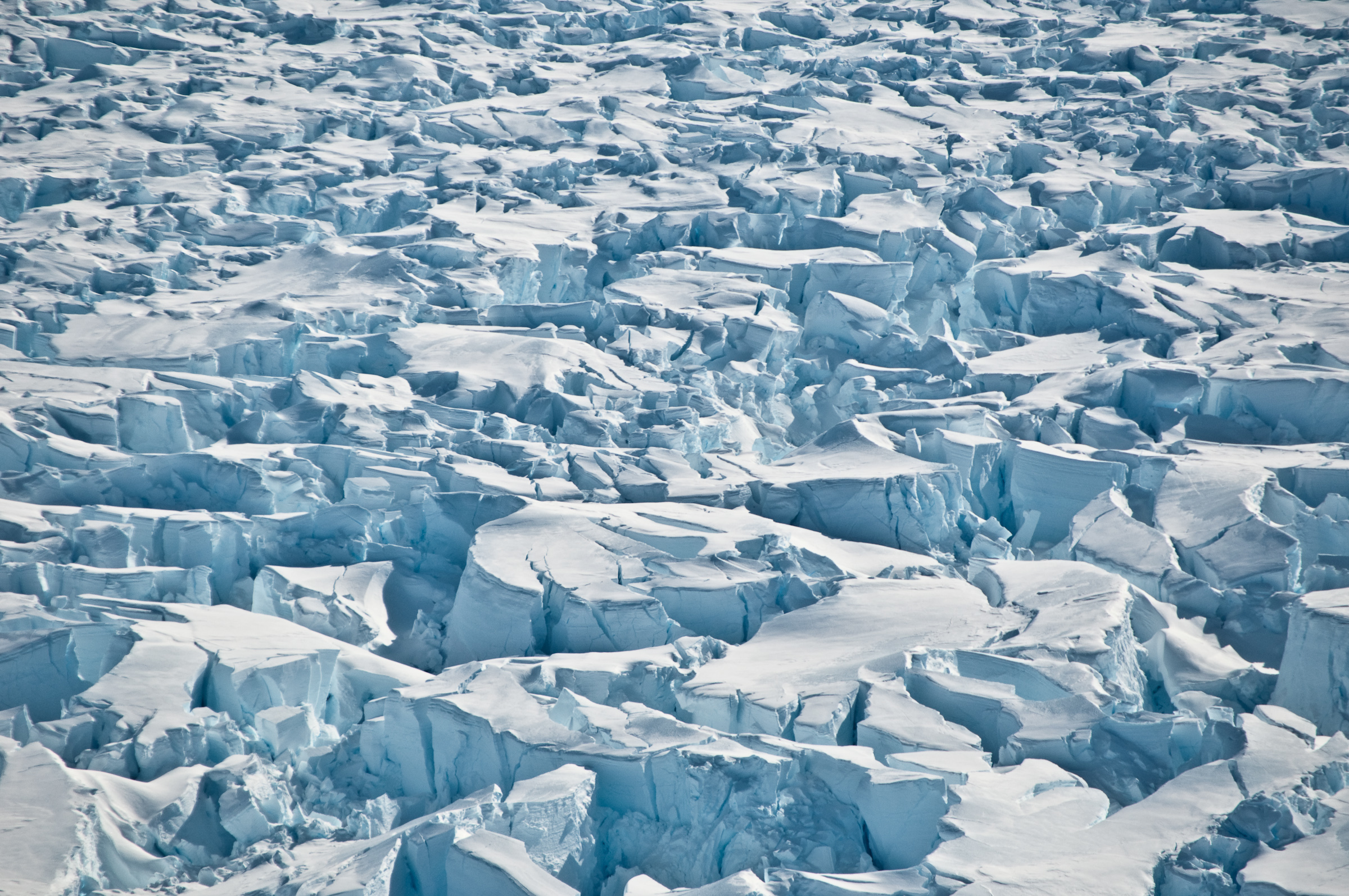 Crevasses near the grounding line of Pine Island Glacier, Antarctica. (Photo by Ian Joughin, University of Washington)