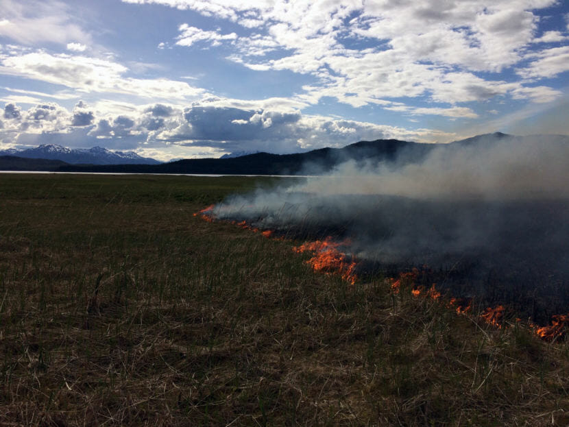 The Antler Fire burns in grass in a tidal flat area Thursday, May 31, near Berner’s Bay north of Juneau. U.S. Forest Service personnel are working to suppress the fire. (Photo courtesy U.S. Forest Service)