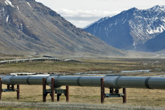 The Trans-Alaska Pipeline runs alongside the Dalton Highway near the Toolik Field Station on June 9, 2017, in the North Slope Borough. (Photo by Rashah McChesney/Alaska's Energy Desk)