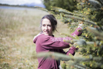 Molly Kelly and her family collect spruce tips every spring in Gustavus. The commercial harvest brings an economic boost to the town. (Photo by Annie Bartholomew/KTOO)