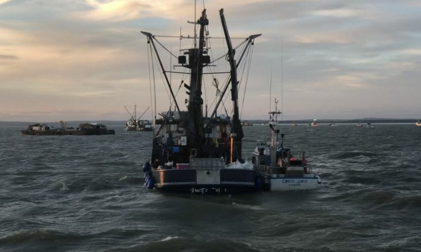 The fishing vessel Pacific Knight takes a sockeye delivery in the summer of 2018. It capsized with three people aboard in Bristol Bay on July 25, 2018.
