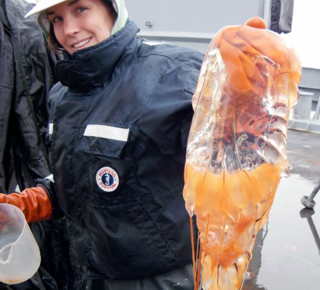 School board candidate Elizabeth "Ebbett" Siddon holds a jellyfish during a research trip. (Photo courtesy of Elizabeth Siddon)